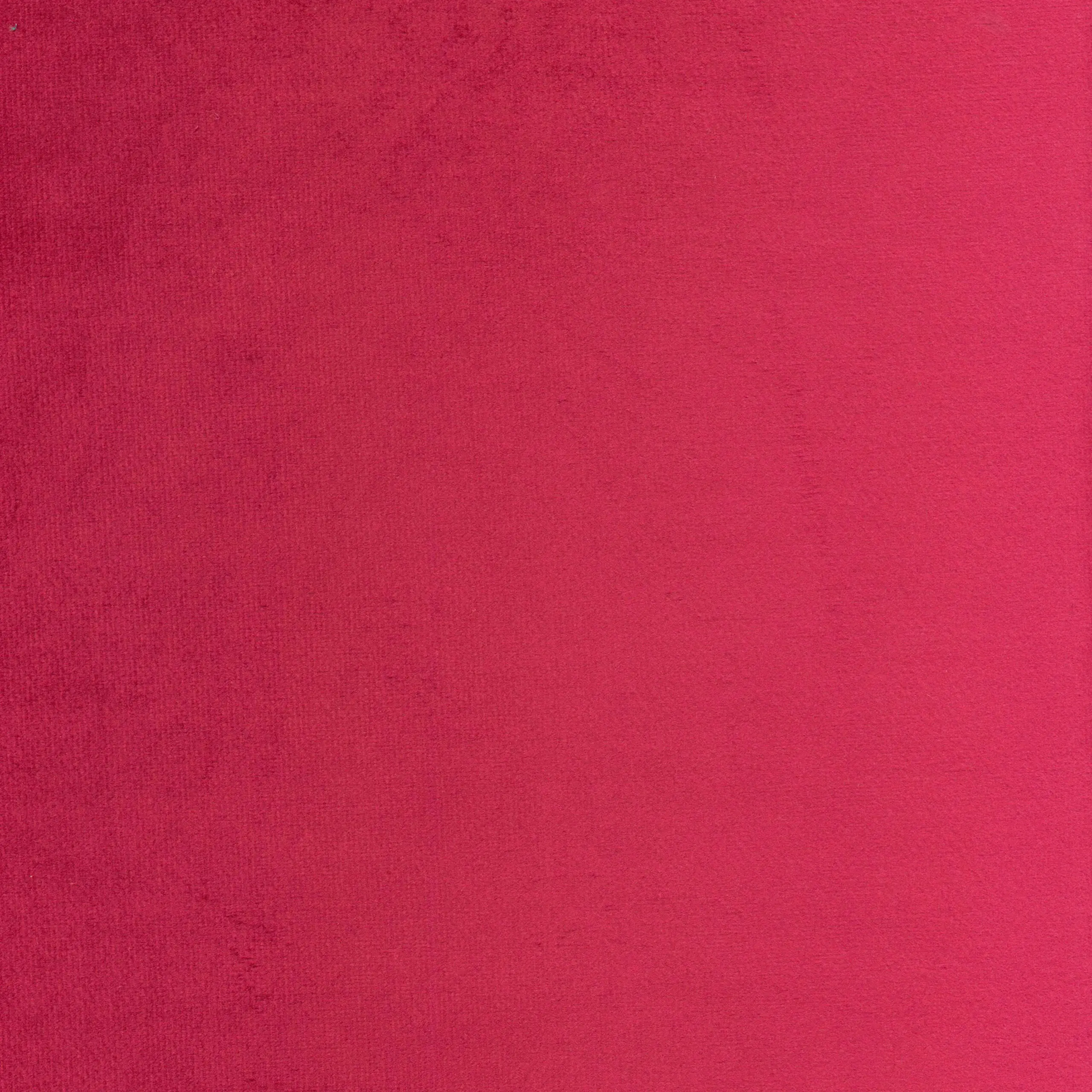 Magenta 23 | Jason