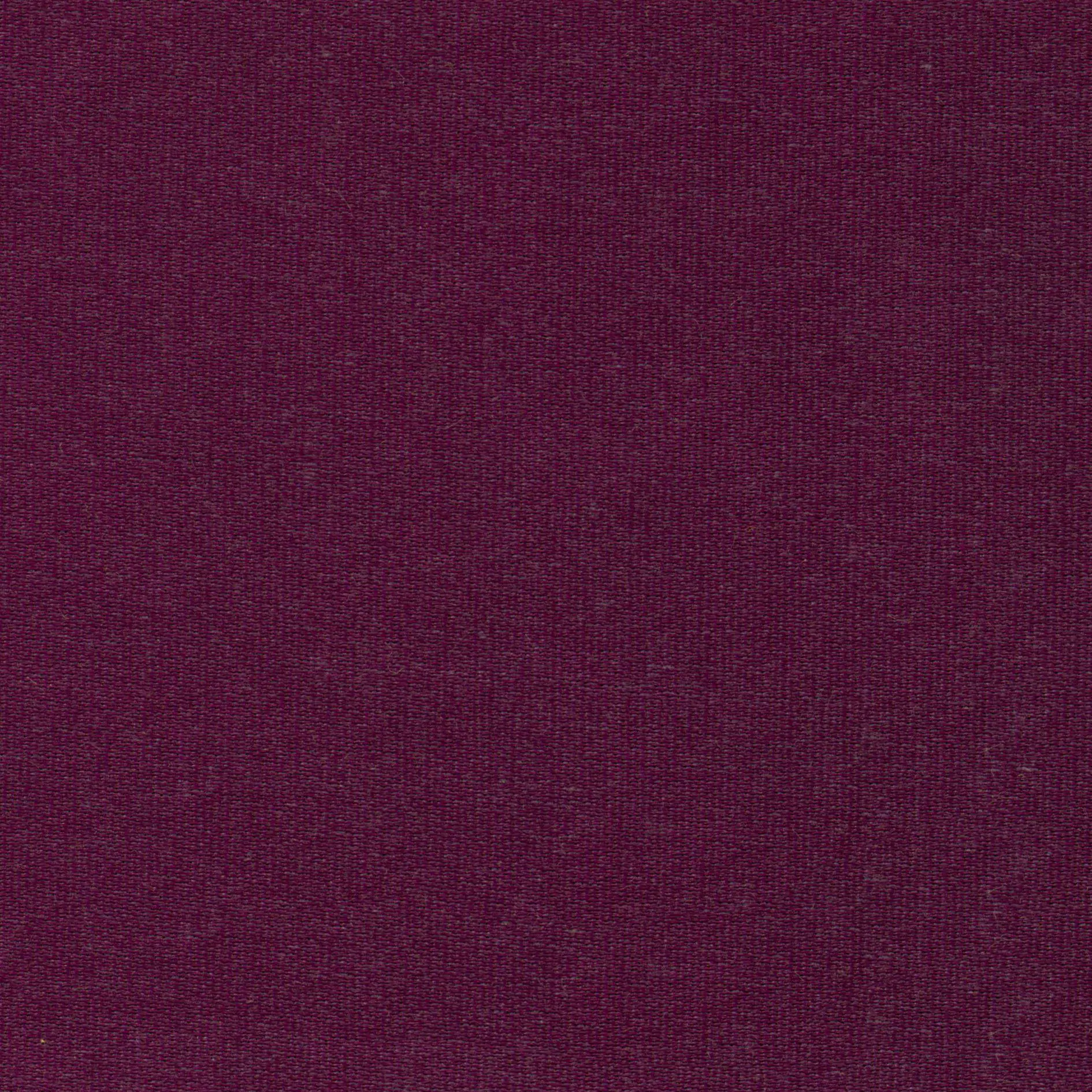 Magenta 32 | Melba