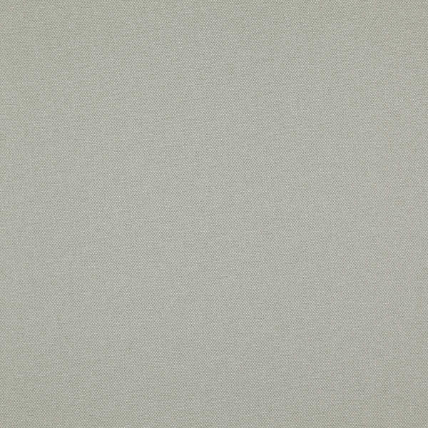 Fog 14