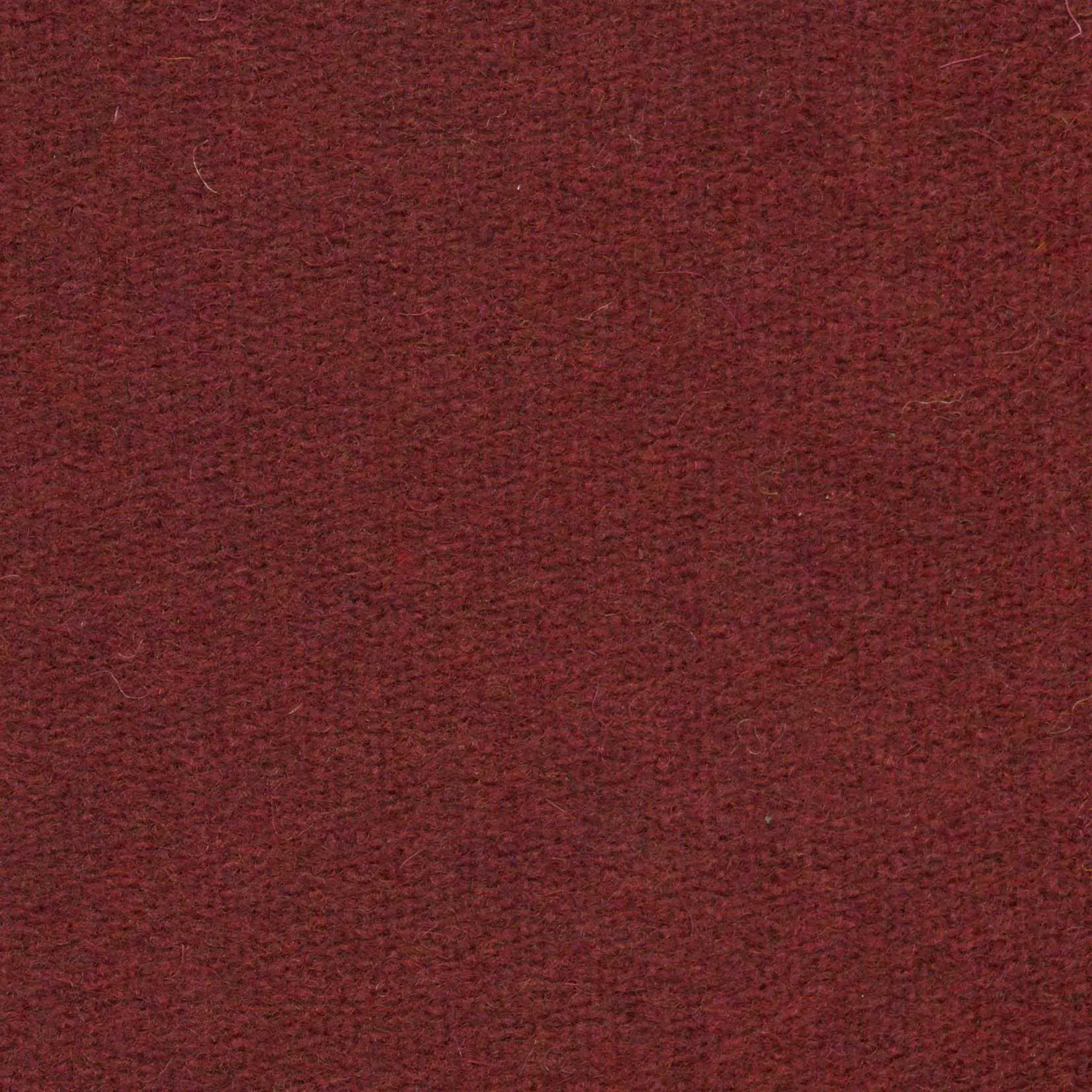 Royal 501 | Savoy FR