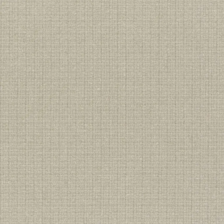 Cobblestone 06
