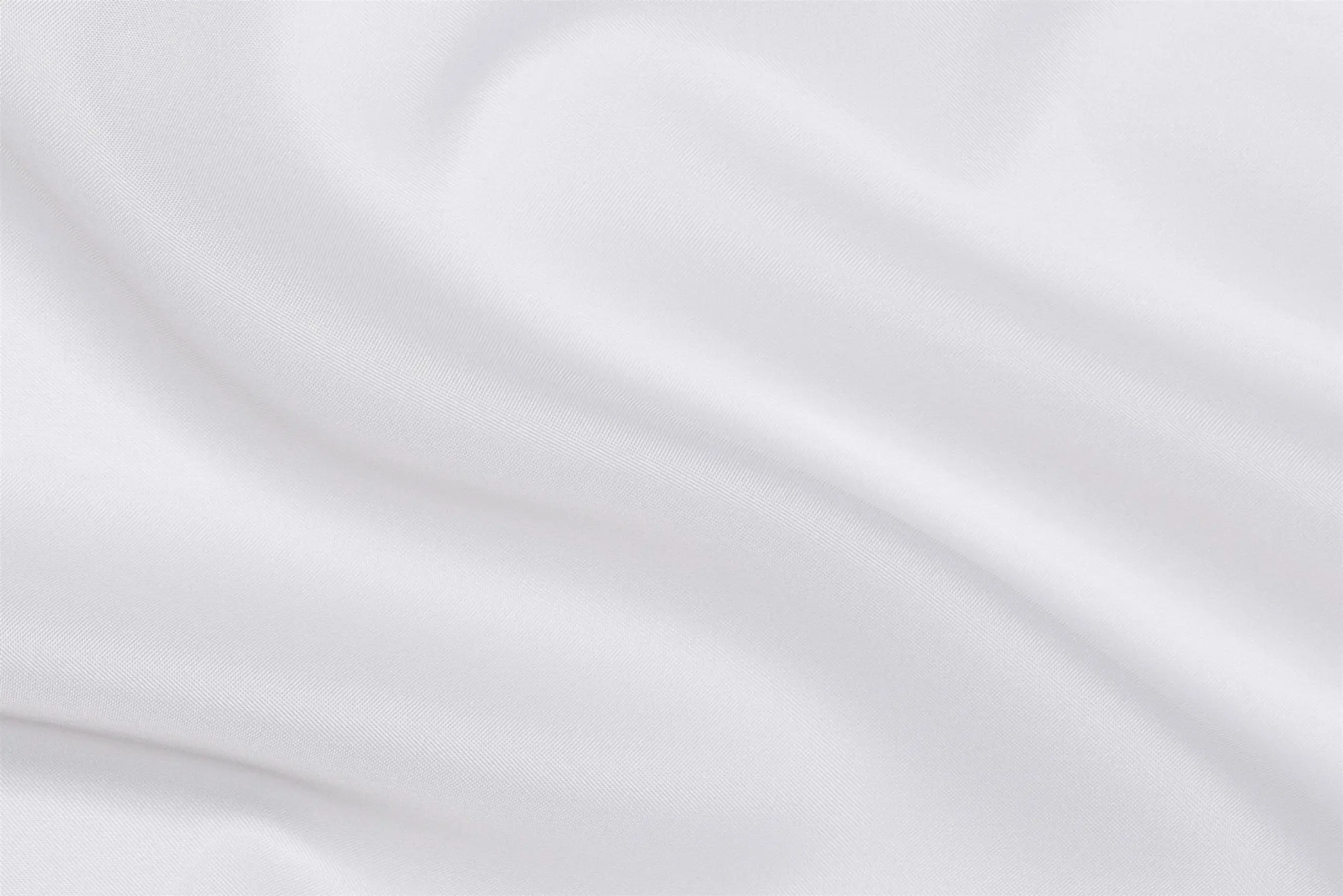 Oyster Mushroom 14 | Piuma