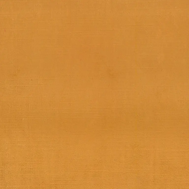Amber 850