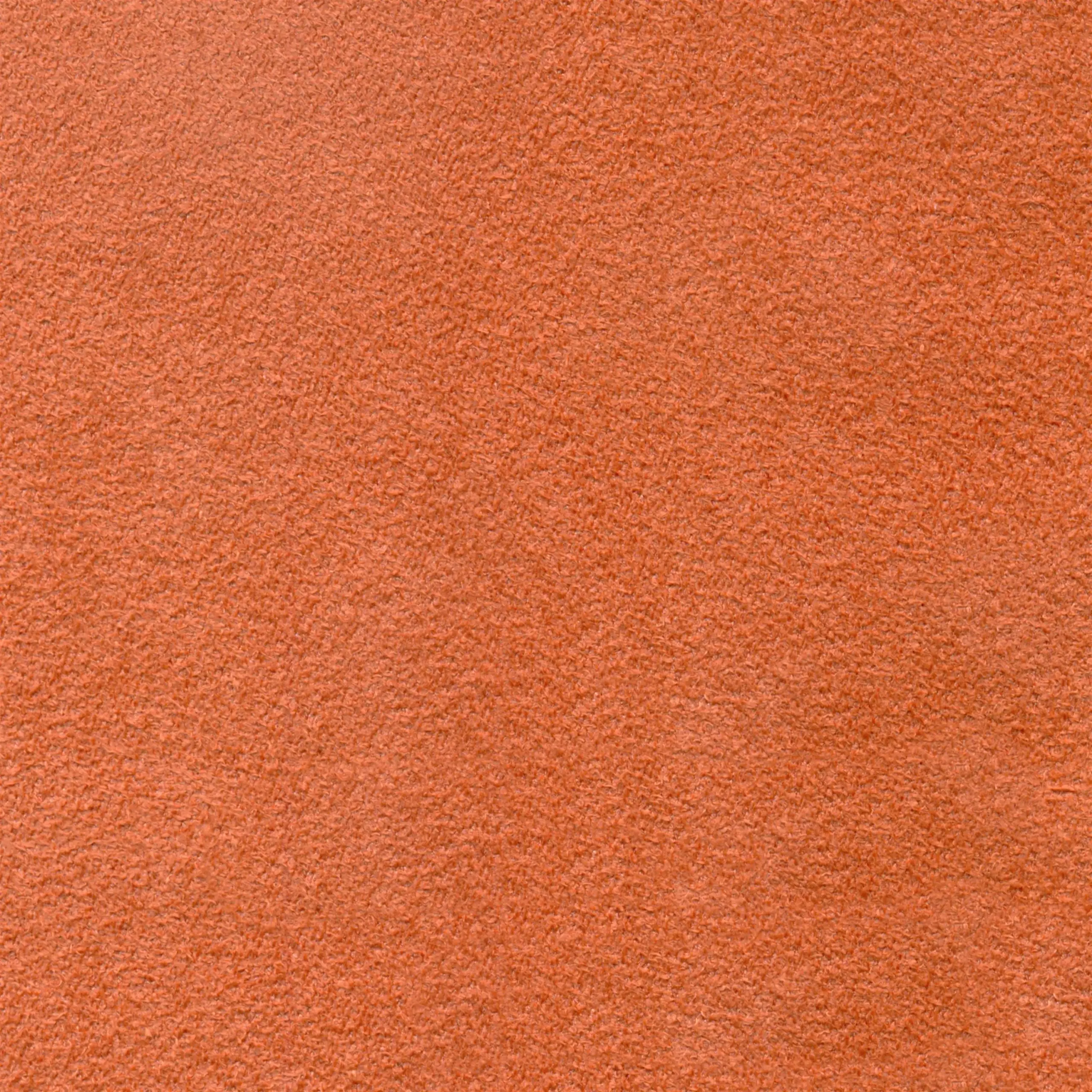 Apricot 311 | Mors