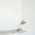 Ivory 2 | Sandro