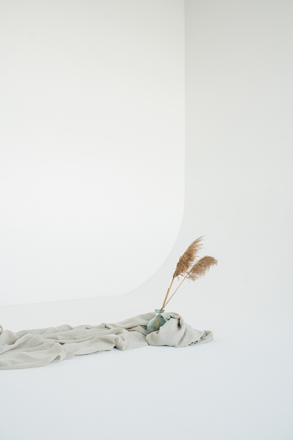 Ivory 2 | Sandro