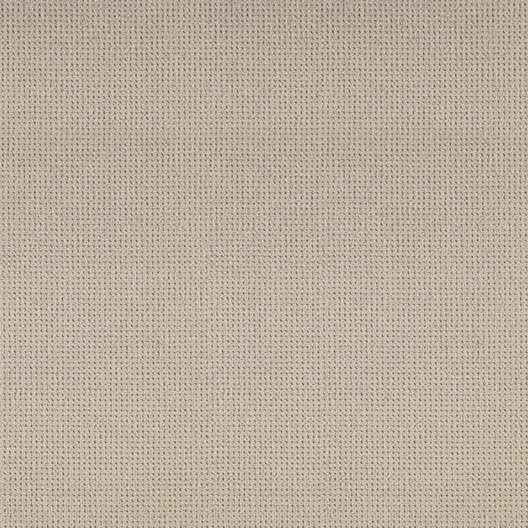 Birch 071