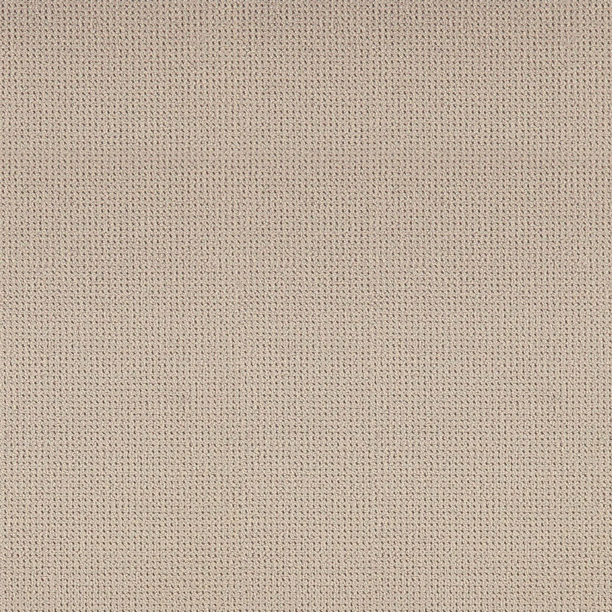Birch 071 | Macho