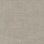 Mushroom 905 | Samsara