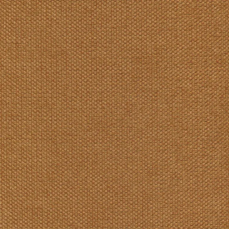 Clay 22