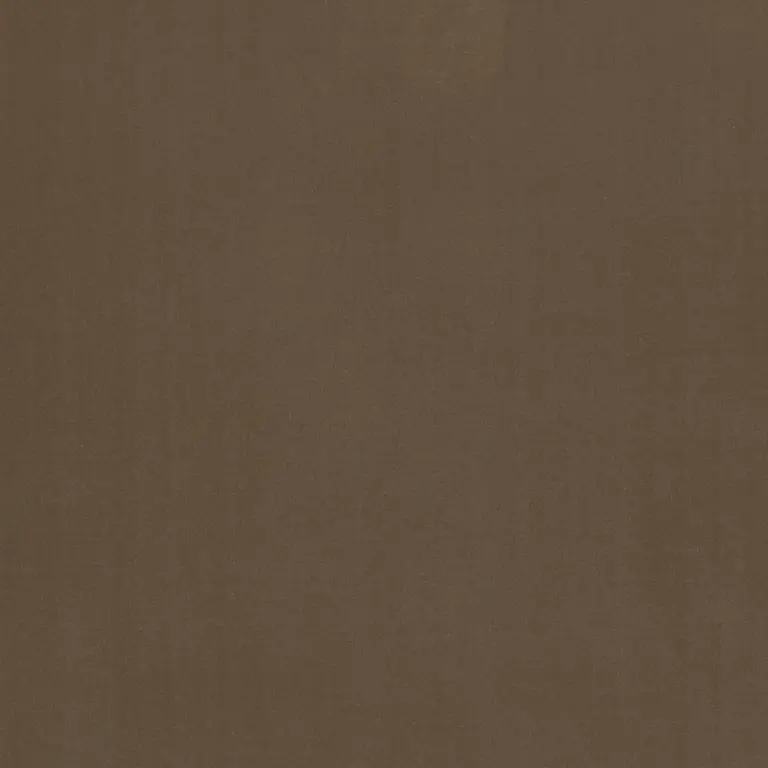 Taupe 1