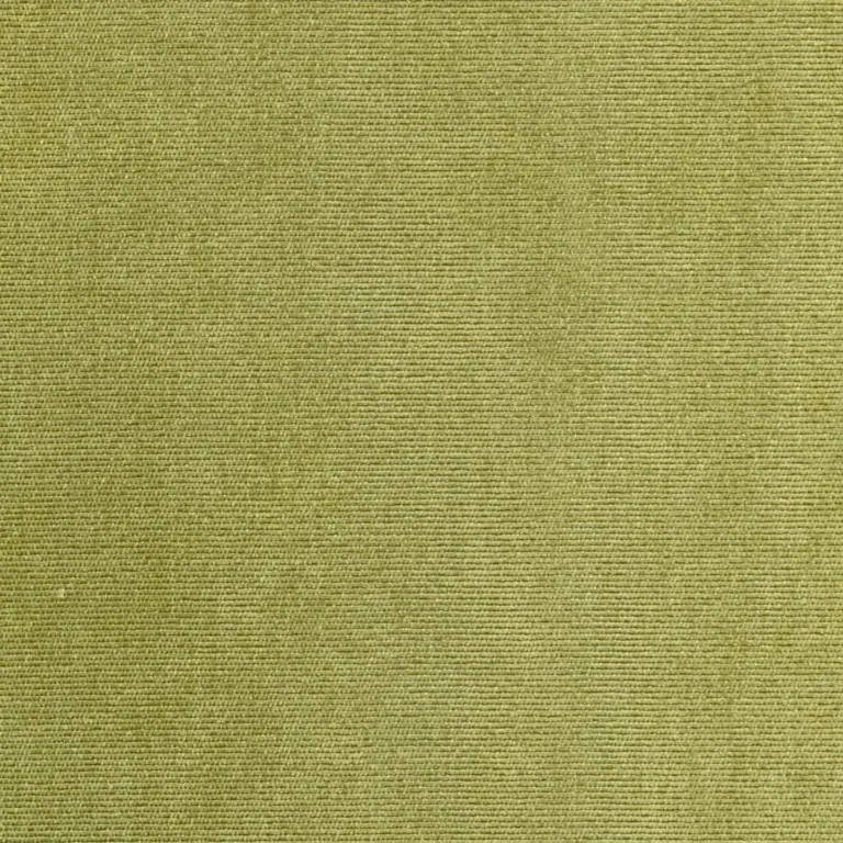 Olive 49