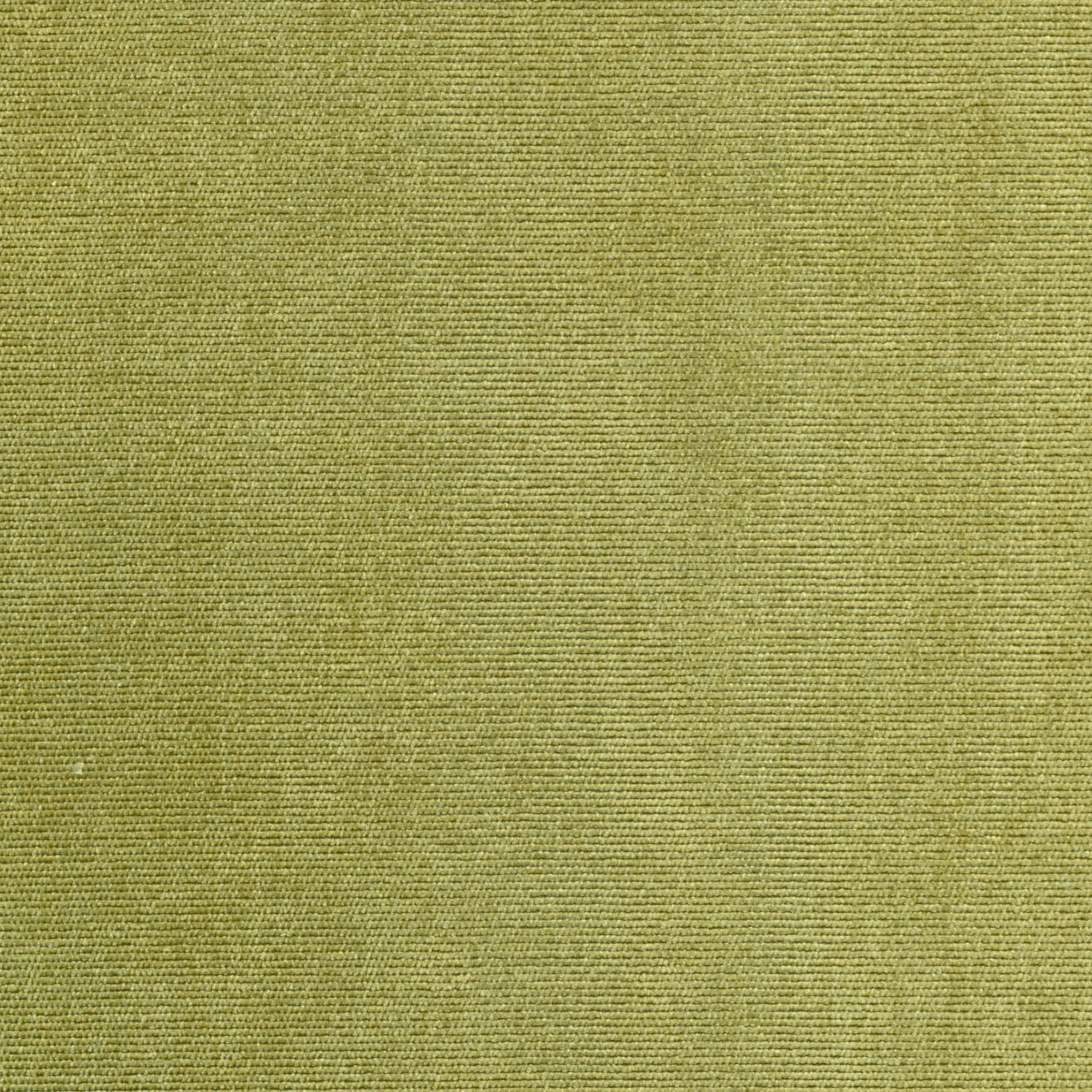 Olive 49 | Verner