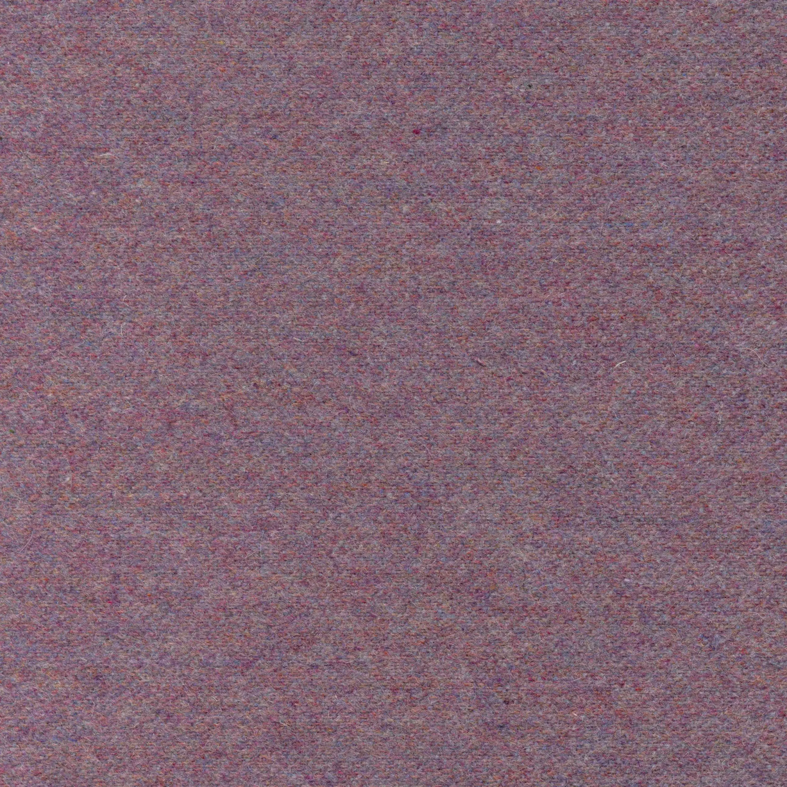 Orchid 40 | Wool