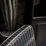 Carbon 211 | Tiziano