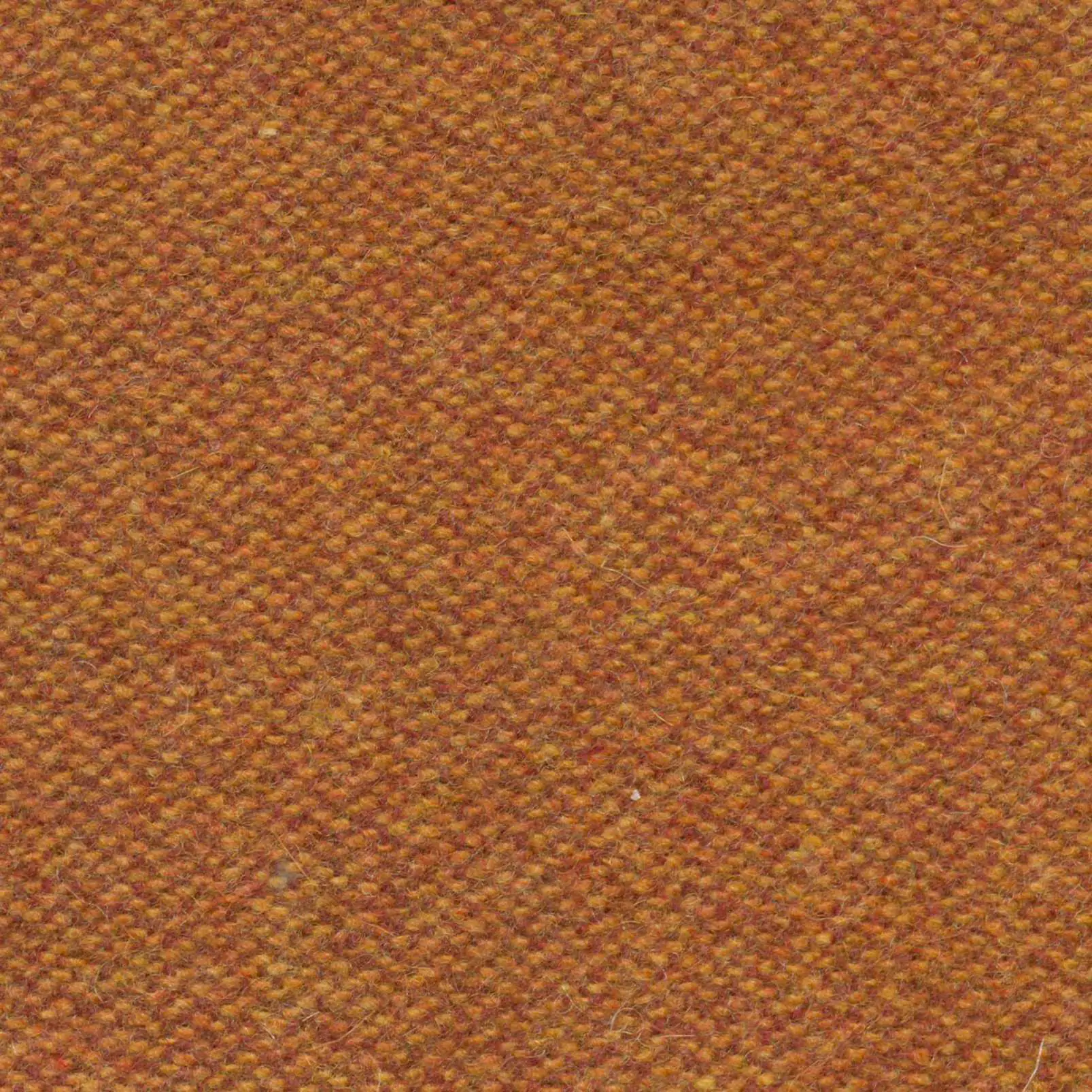 Autumn 505 | Savoy FR