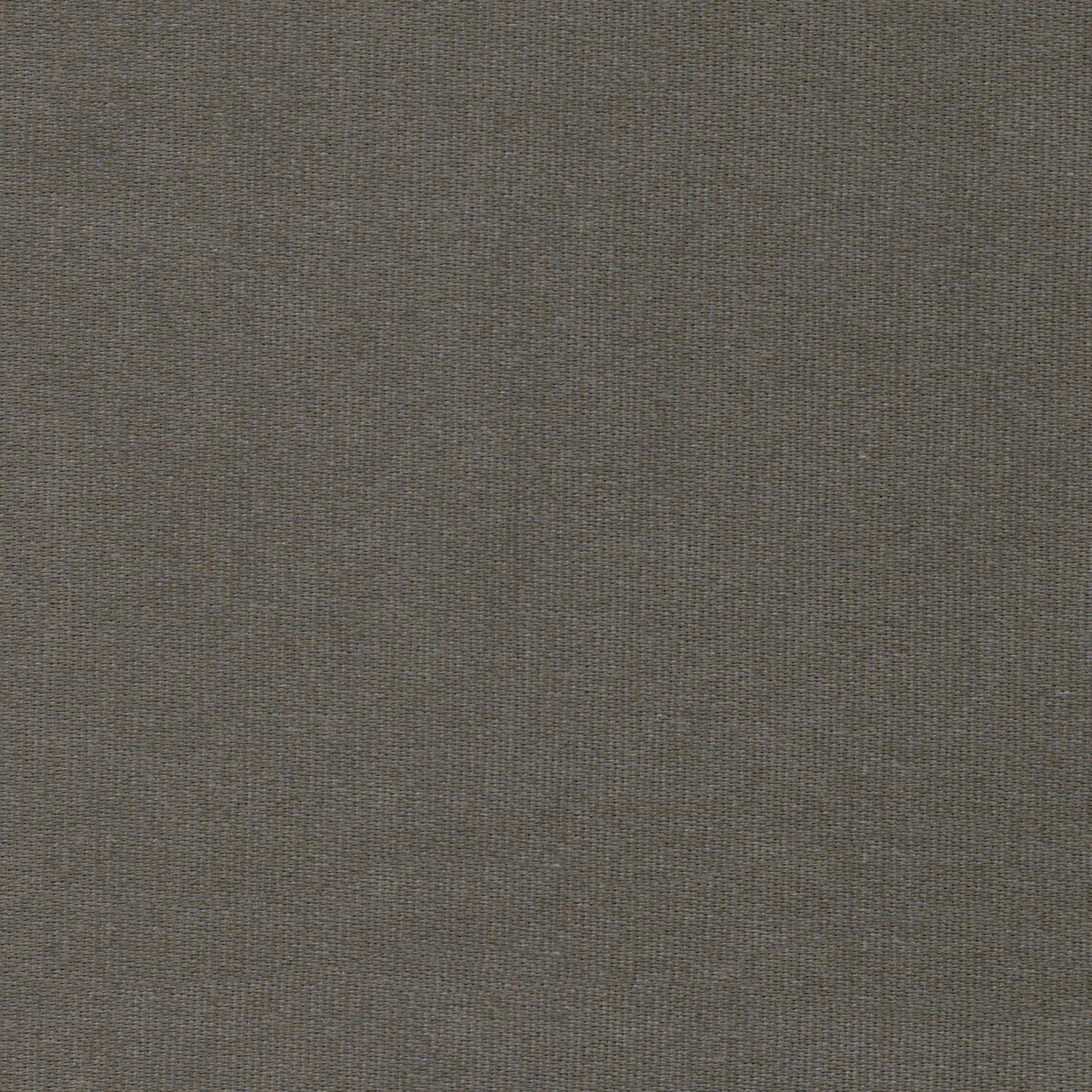 Moss 24 | Melba