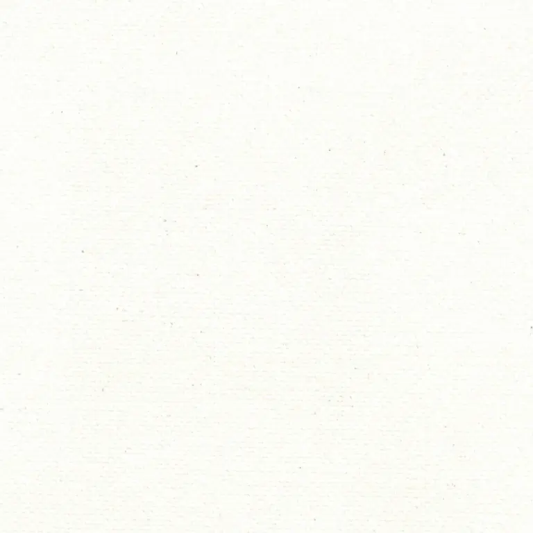 Snow 01