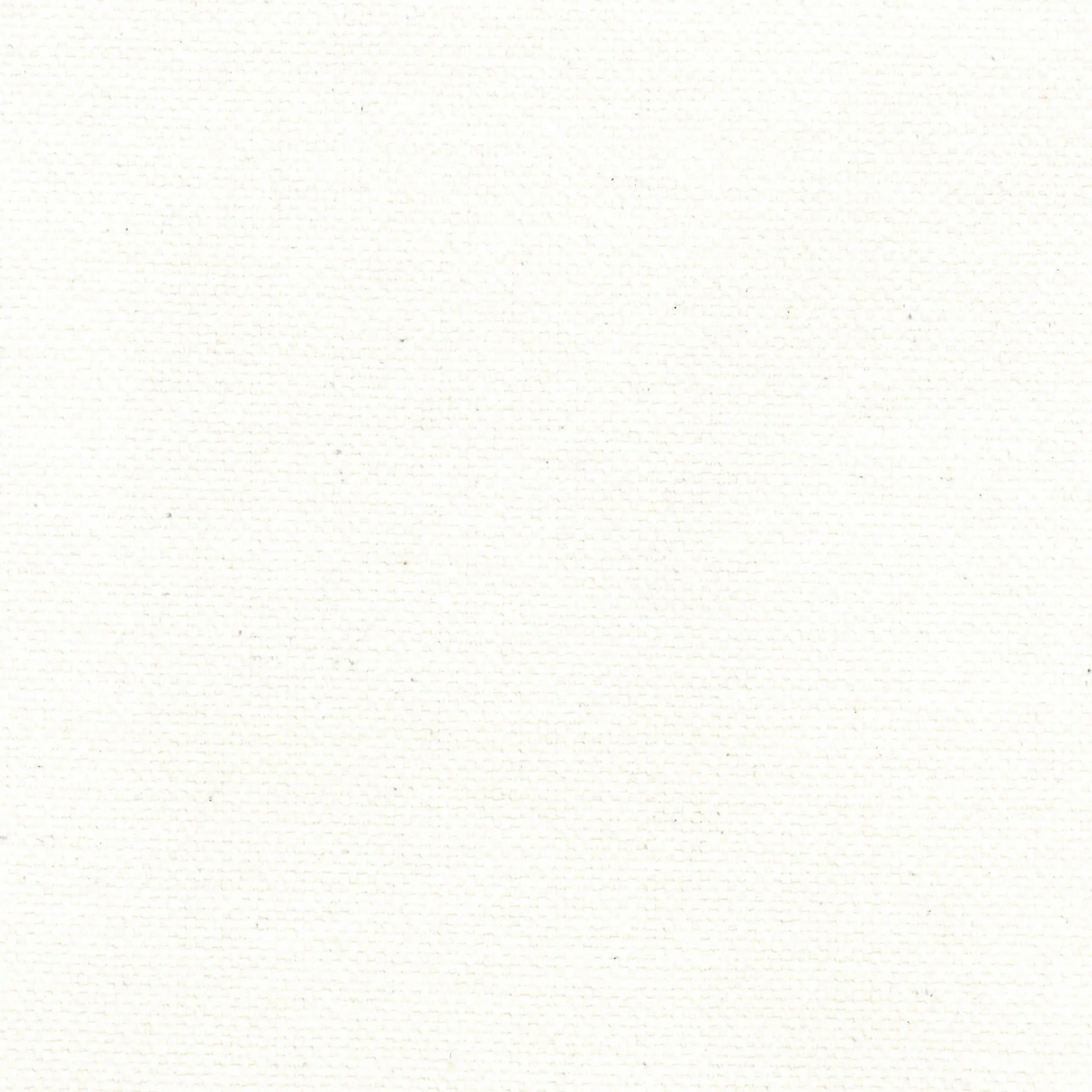 Snow 01 | Ringo