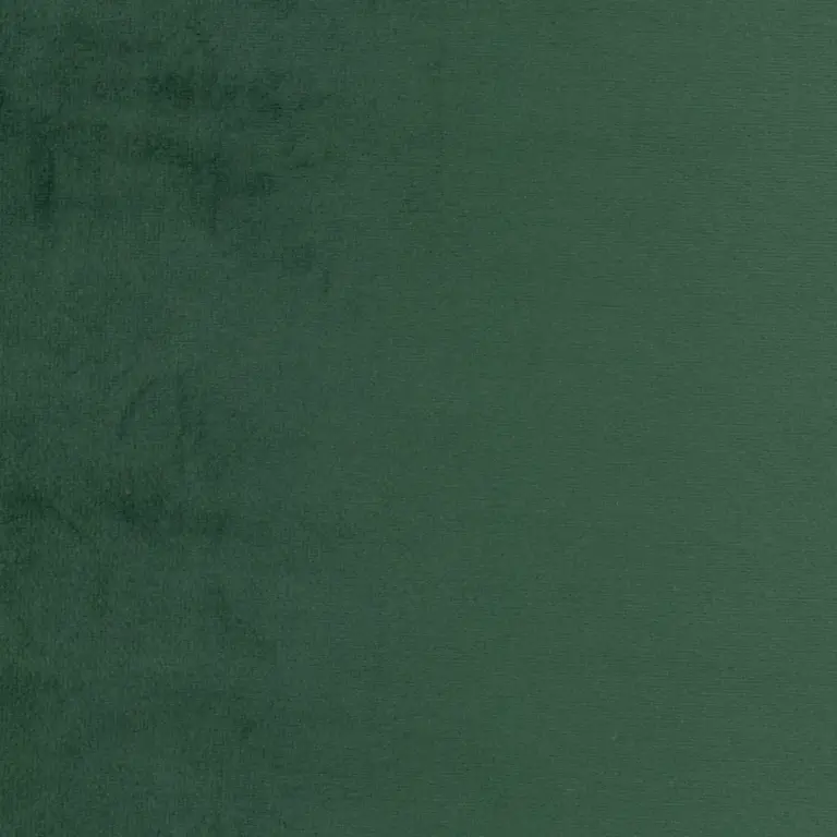 Forest 19
