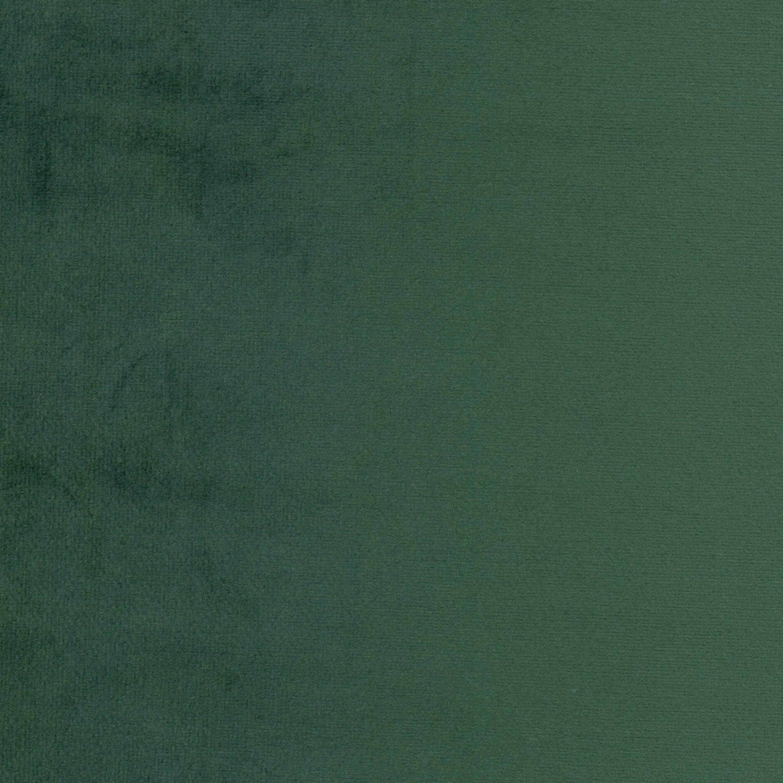 Forest 19 | Jason