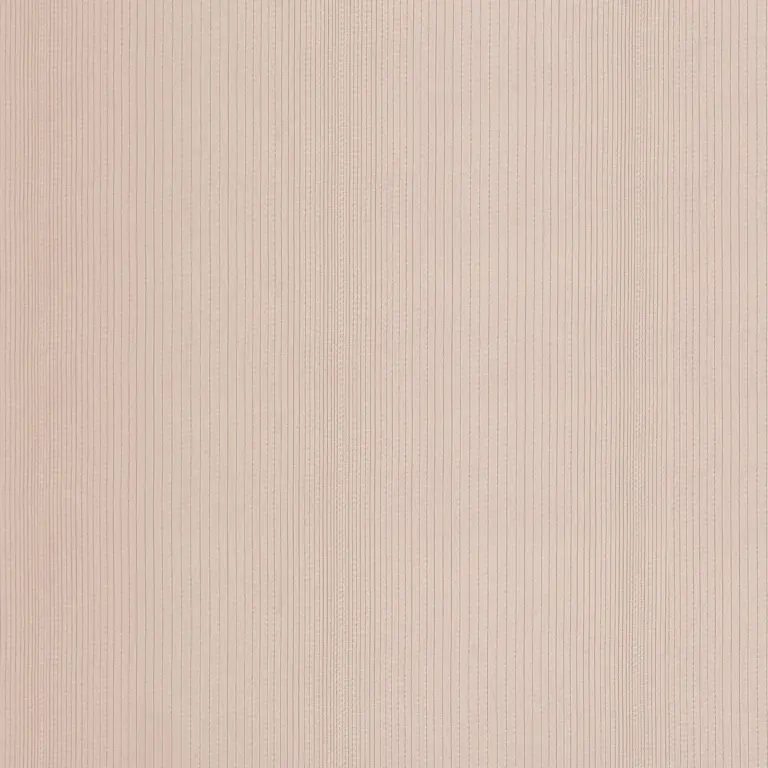 Tapioca 03
