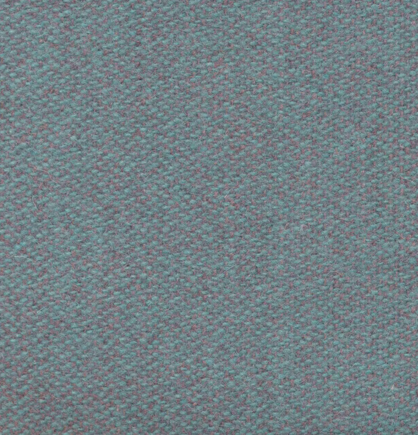 Ocean 473 | Savoy FR