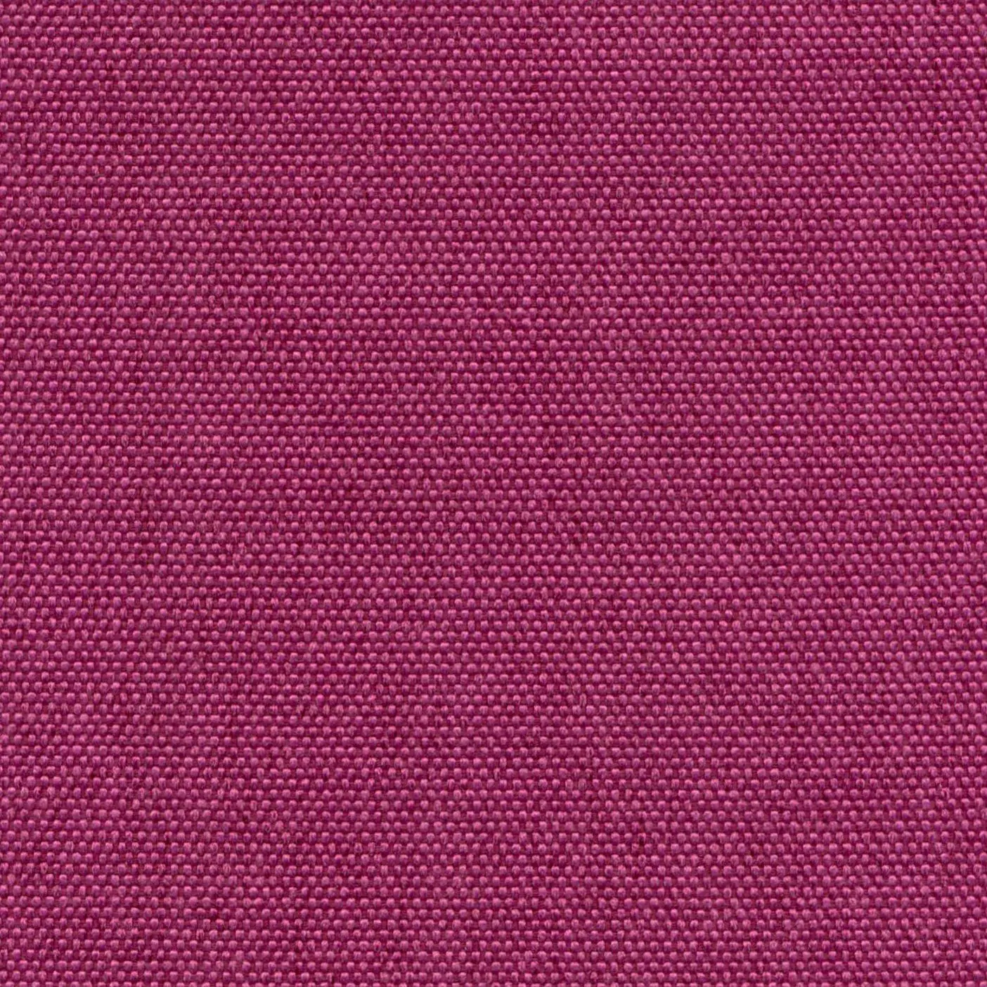 Emperor 702 | Petrus