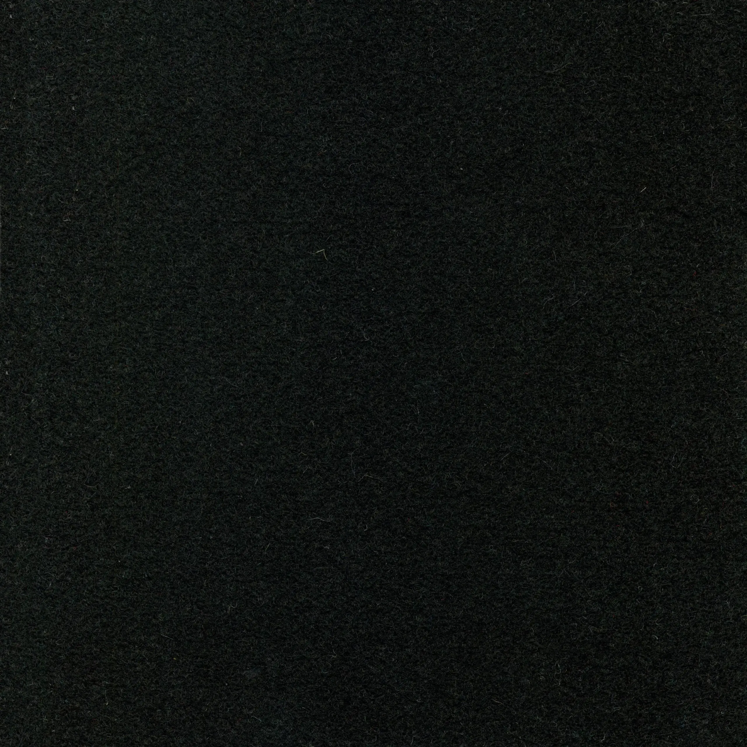 Black 925 | Walt