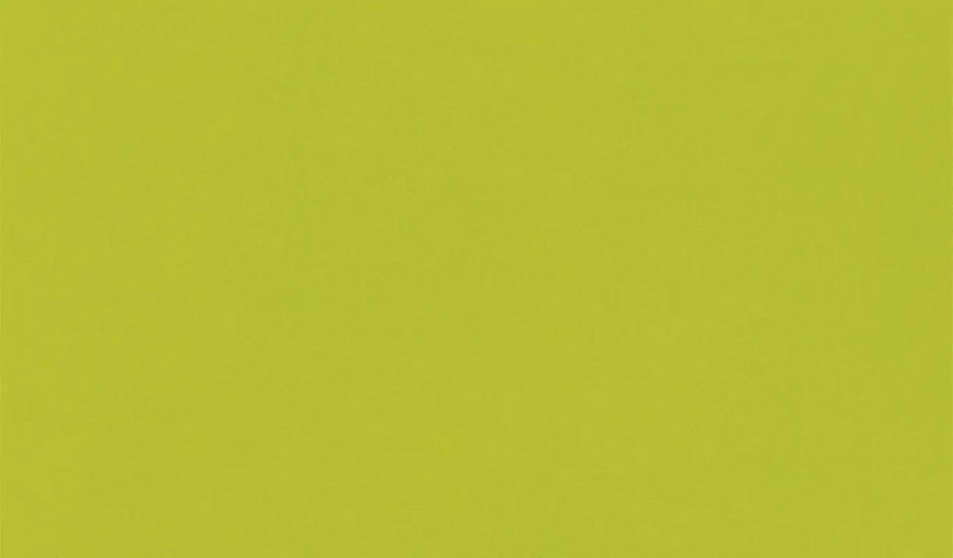 Lime 10 | Renard
