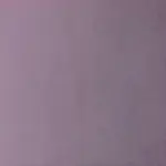Grape 22 | Jason