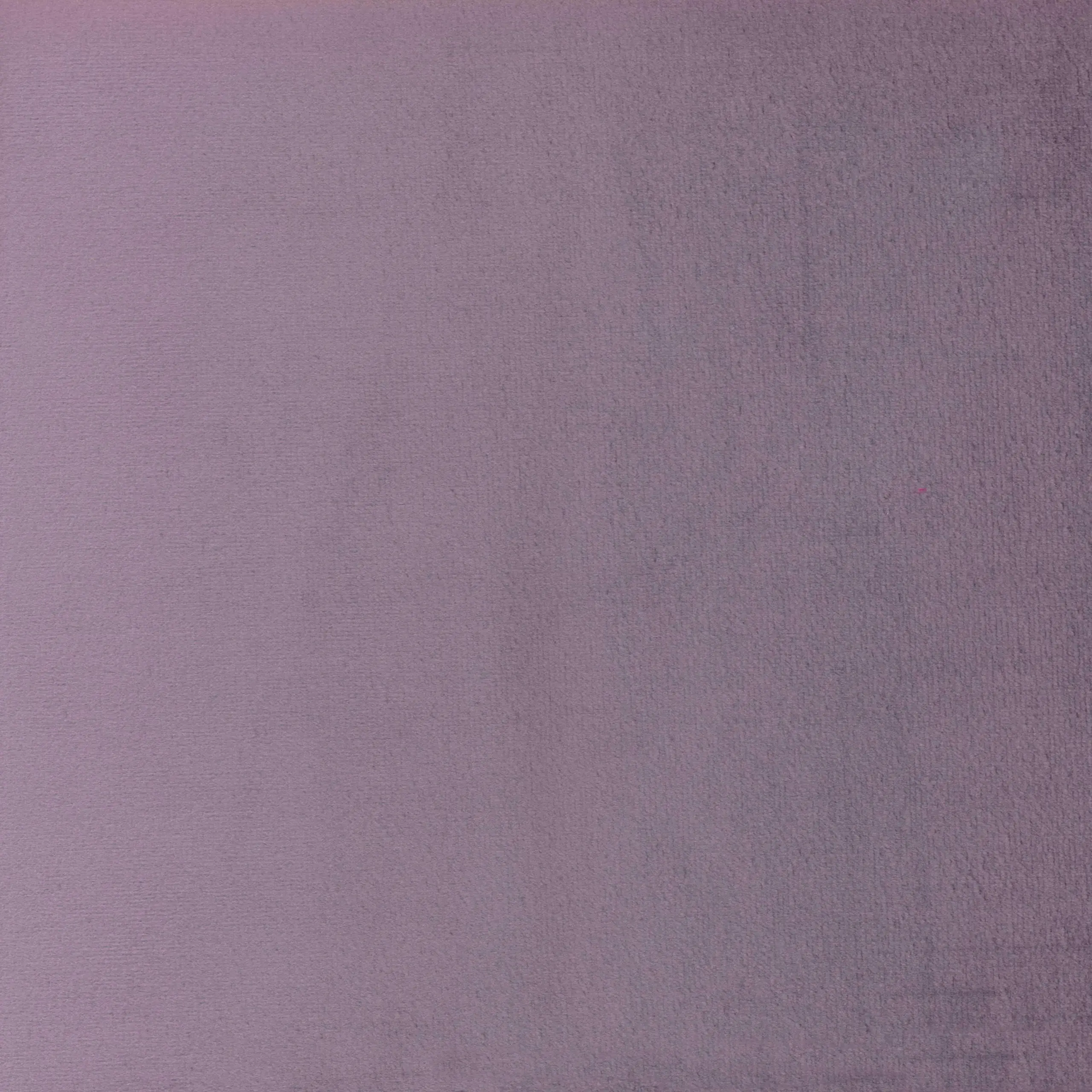 Grape 22 | Jason