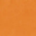 Apricot 23 | Tivoli