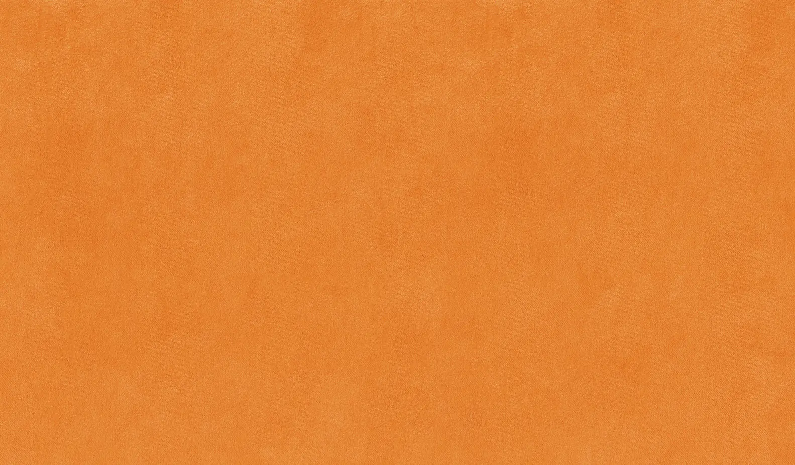 Apricot 23 | Tivoli