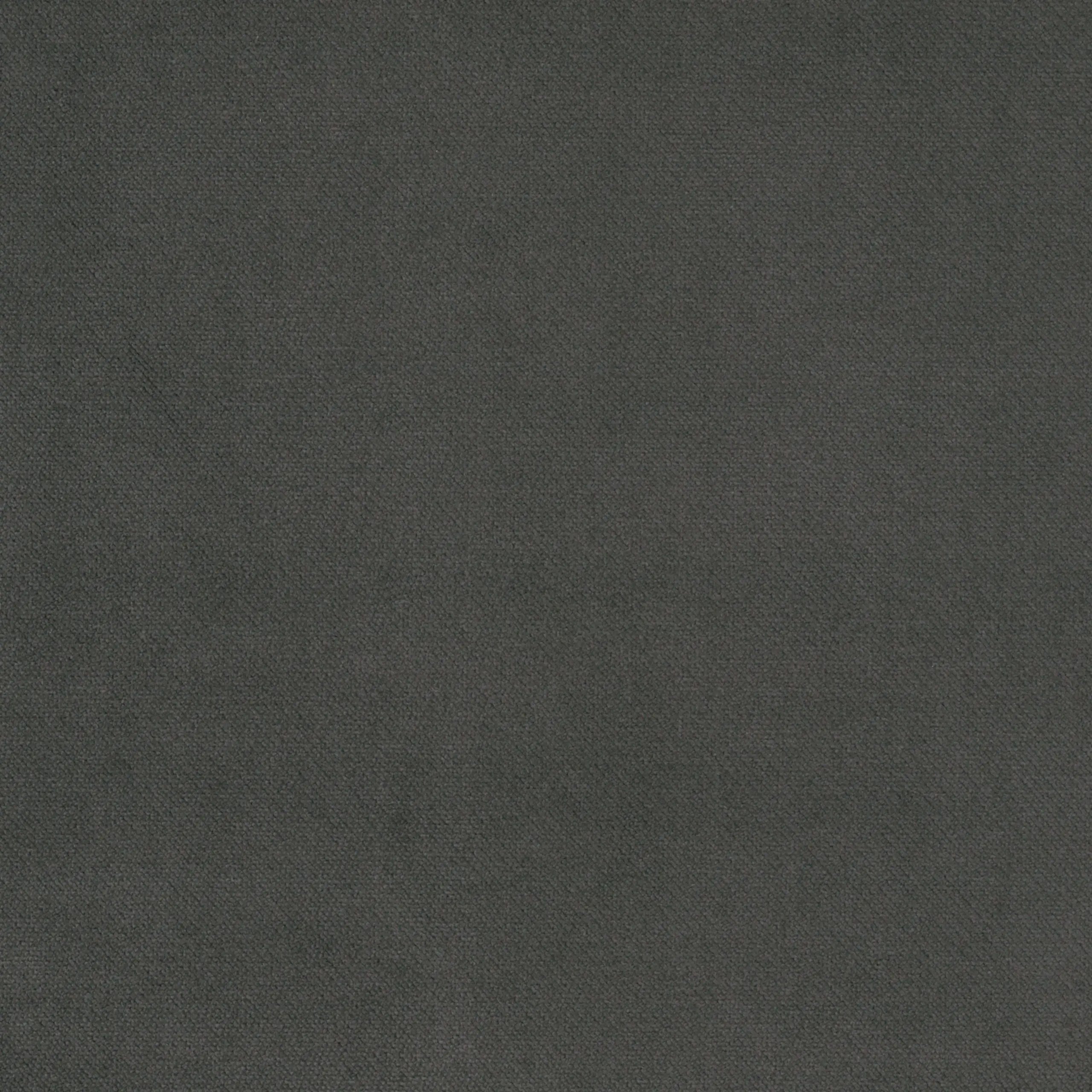 Pewter 19 | Orion