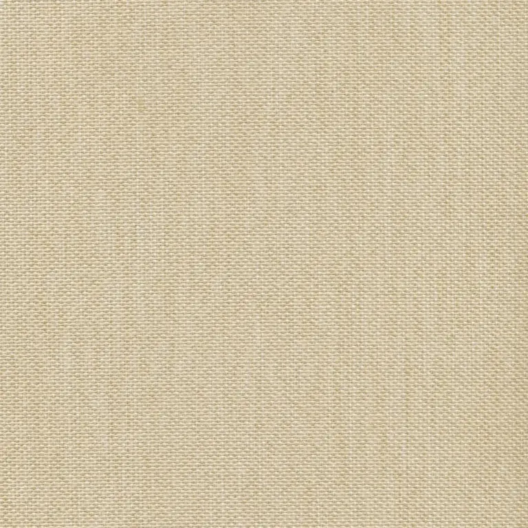 Ivory 20