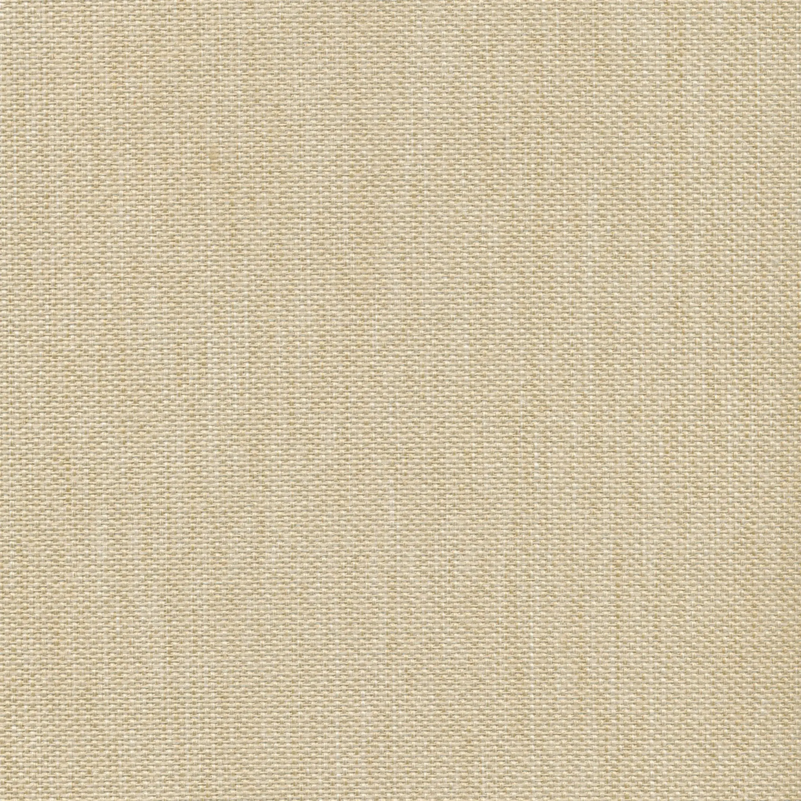 Ivory 20 | Martin