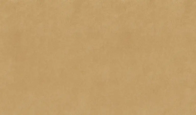 Camel 11