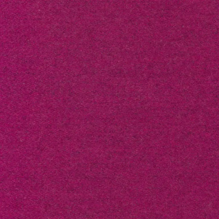Fuchsia 20