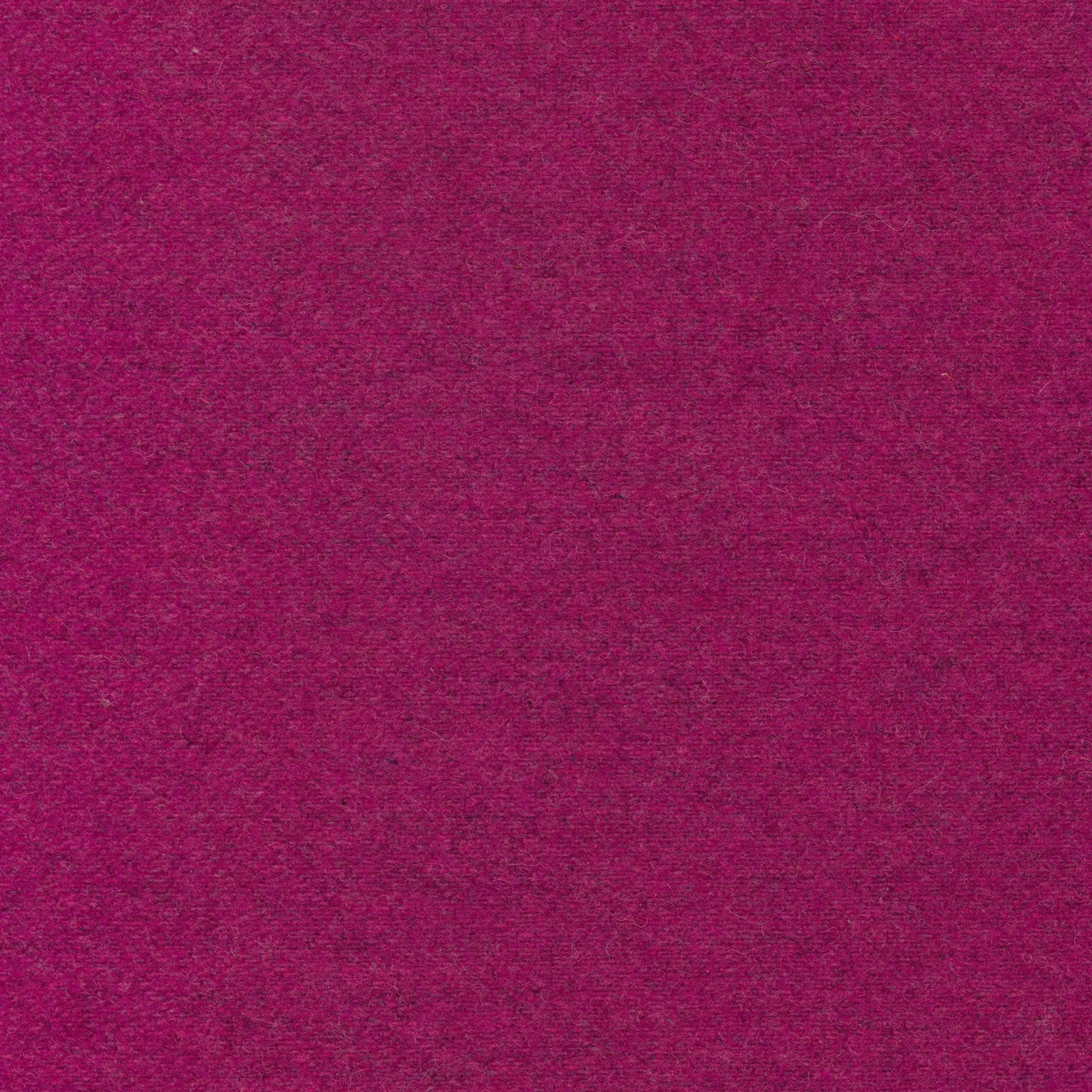 Fuchsia 20 | Wool