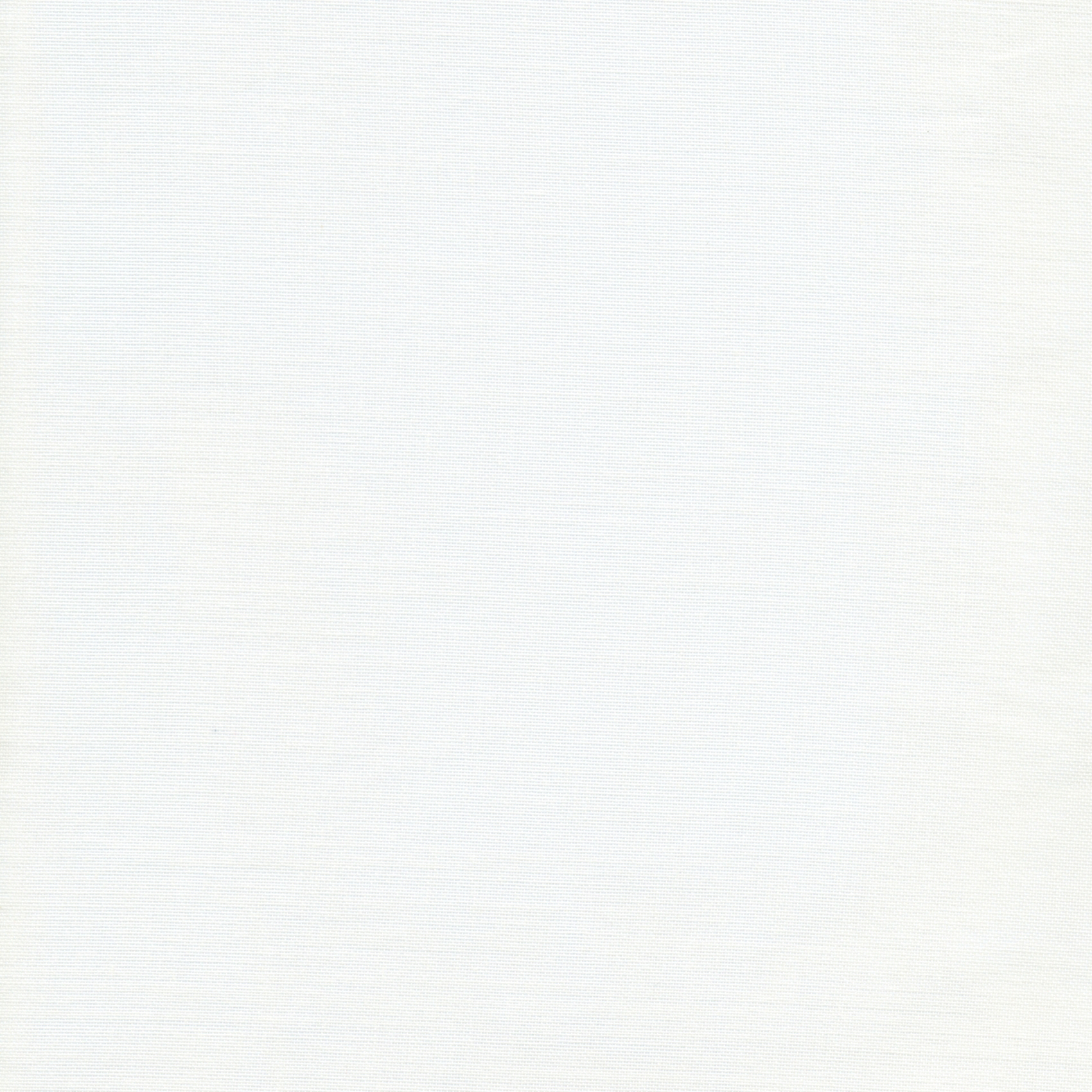 White 80 | Layla