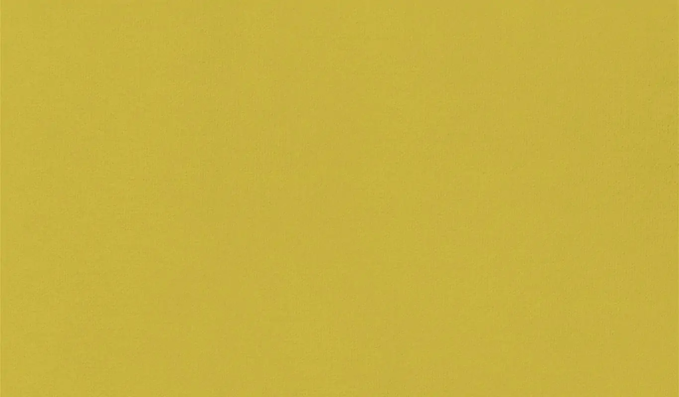 Sulphur 25 | Renard