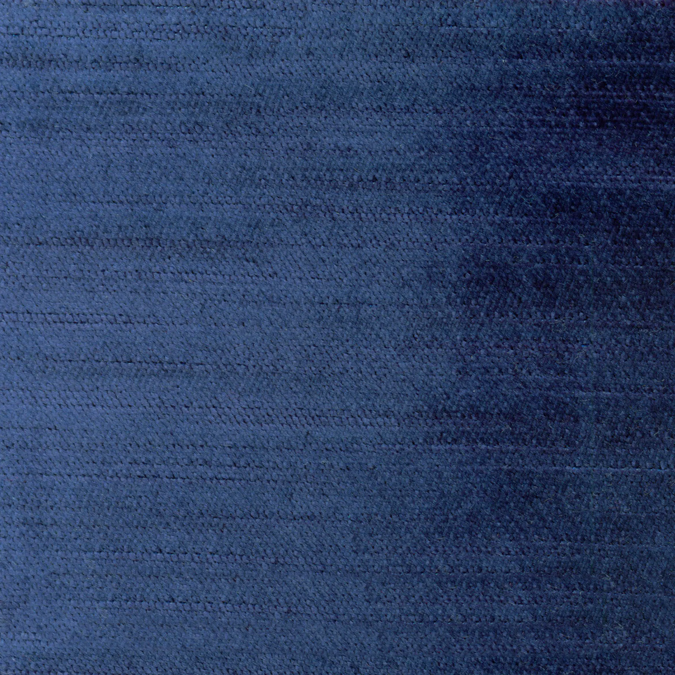 Indigo 209 | Sargon FR