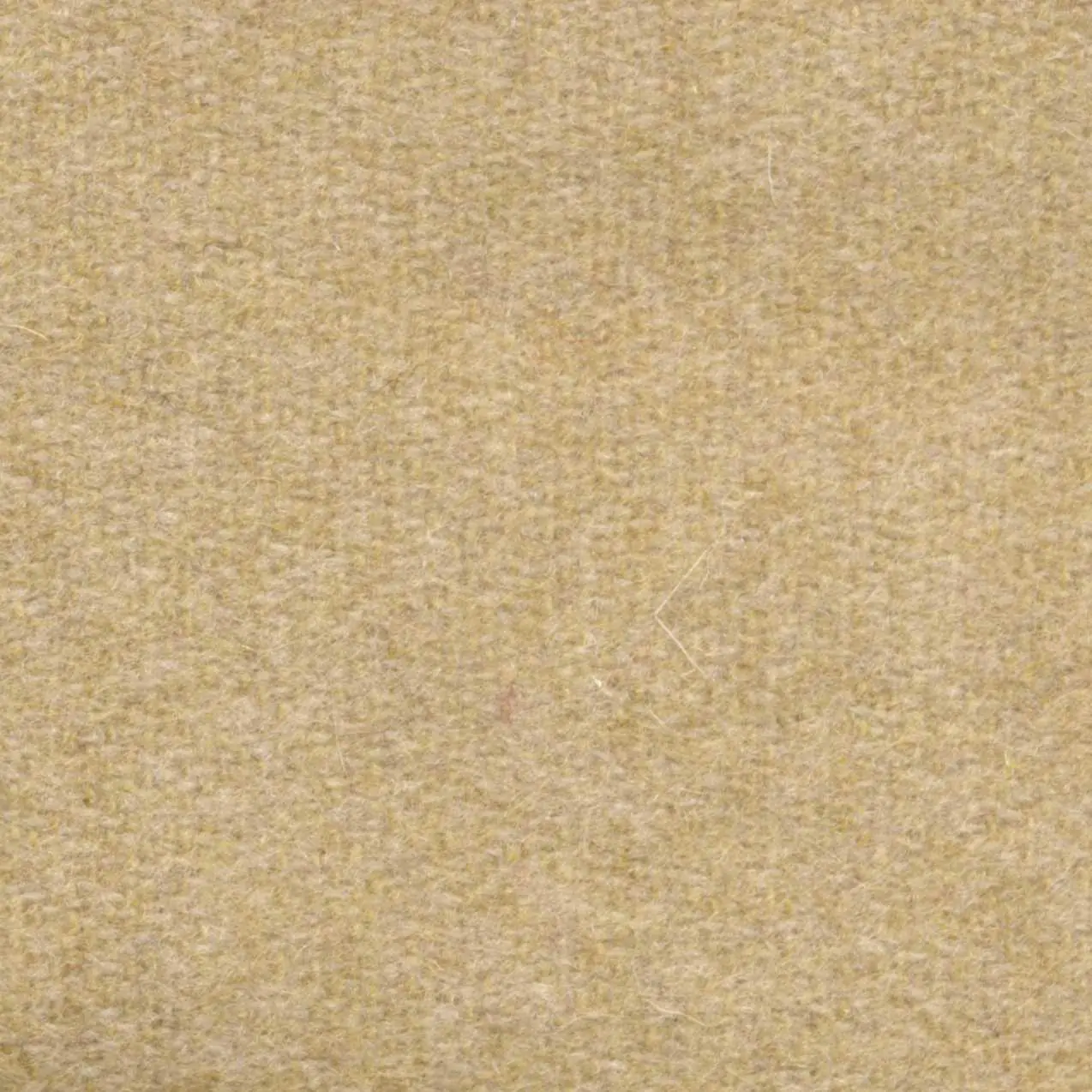 Wheat 532 | Savoy FR