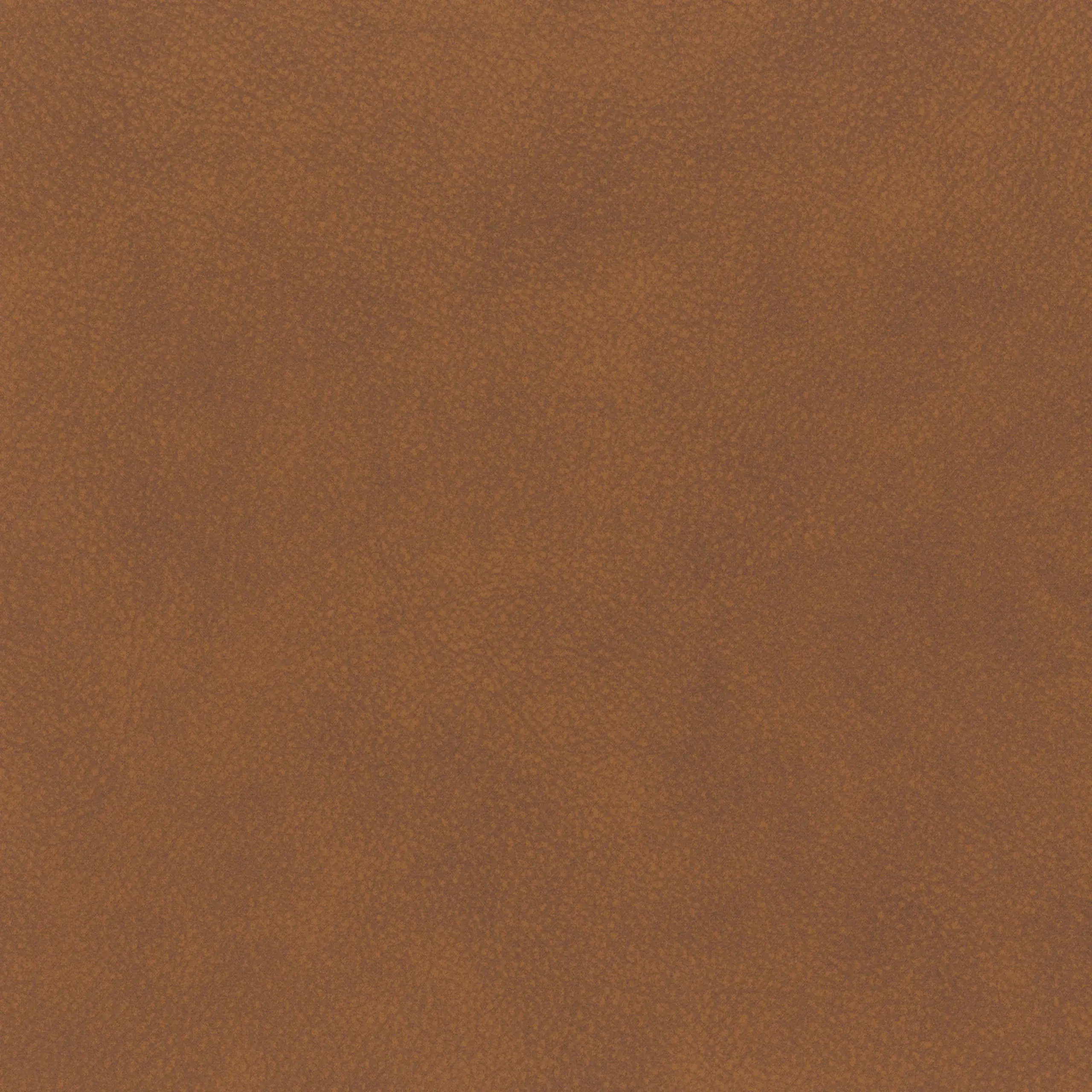 Almond 28 | Tremiti