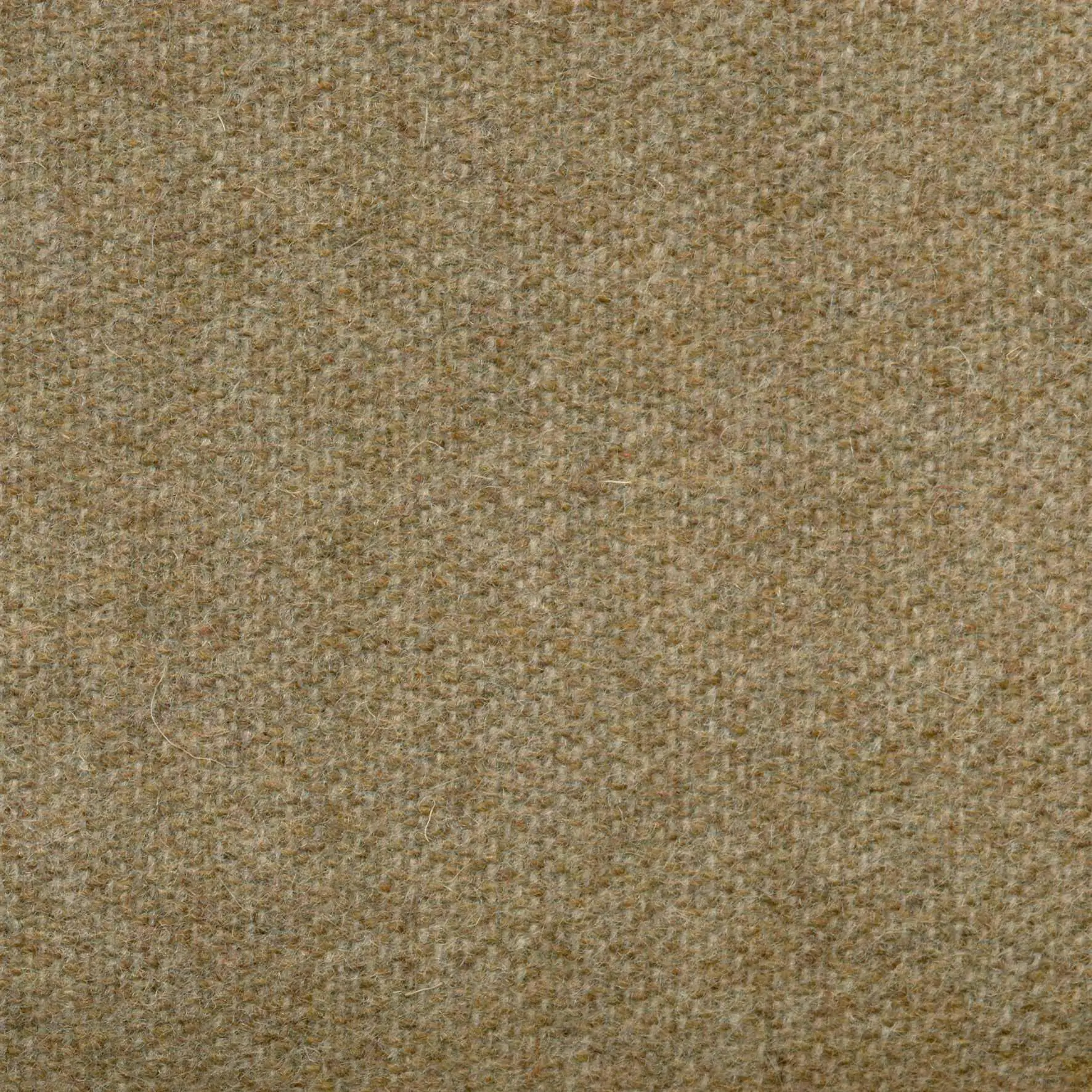 Sponge 483 | Savoy FR