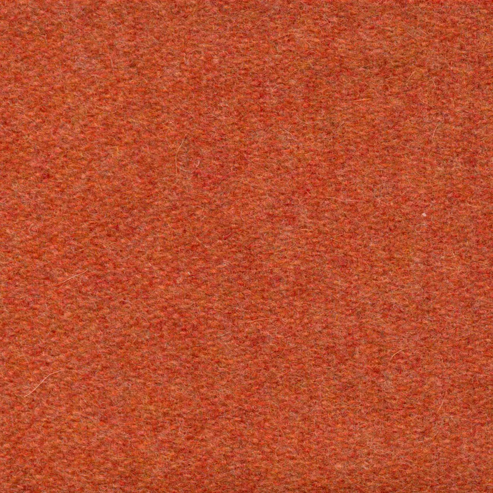 Foxy 547 | Savoy FR