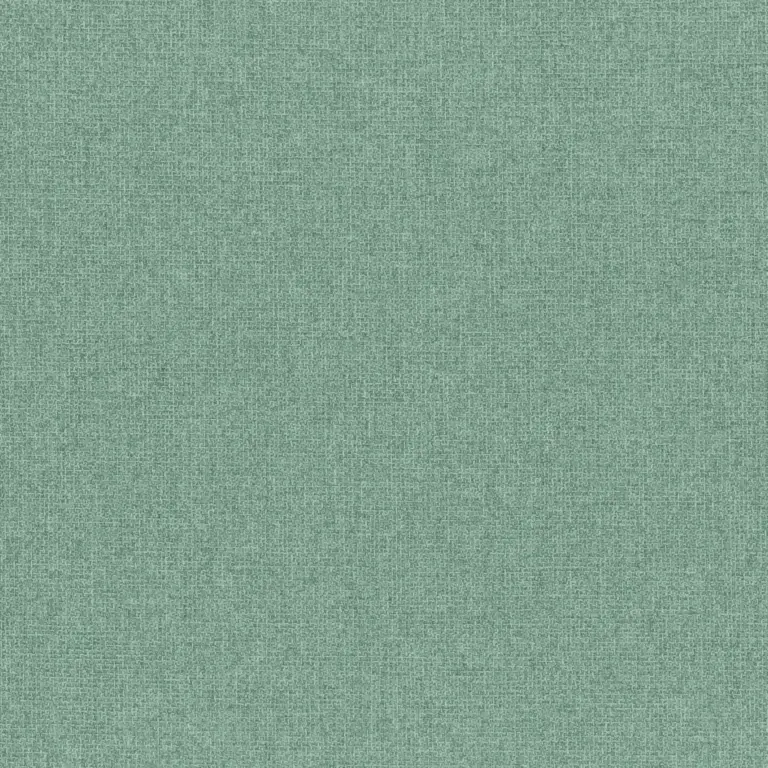 Aqua 50