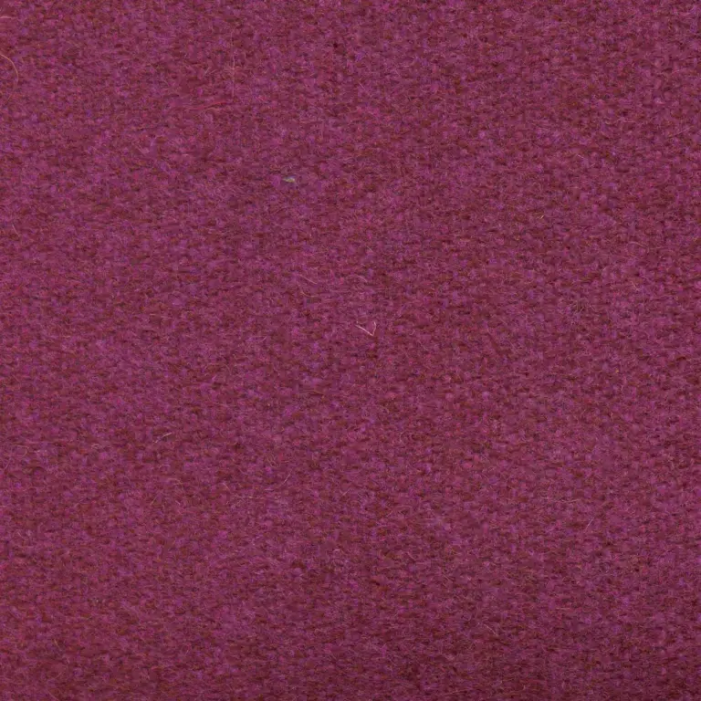 Dahlia 499