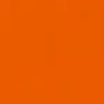 Apricot 02 | Renard